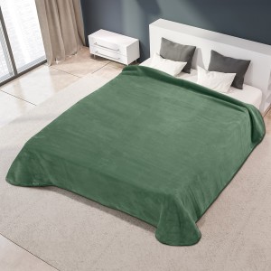 img-ΚΟΥΒΕΡΤΑ ΙΣΠΑΝΙΑΣ ΜΟΝΗ 160X220 BELPLA STER PLAIN VERDE(20)