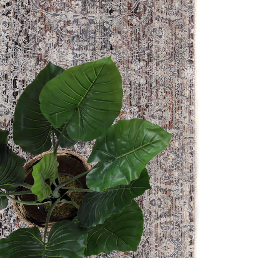 Χαλί Limitee 8269A BEIGE Royal Carpet - 240 x 300 cm Χαλί Limitee 8269A BEIGE Royal Carpet - 240 x 300 cm