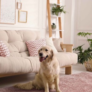 img-Χαλί PINK SHADE 133 x 190 εκ.