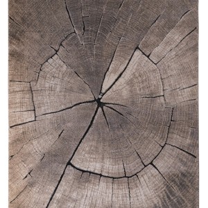 img-DORIAN 200X290 ΤΑΠ. Ρ.Ρ.  191-0-580-77461-370