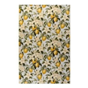 img-CAPRI 075X000 ΔΙΑΔΡ. Ρ.Ρ. ΑΙΓΥΠΤΟΥ 366-0-075-00921-119