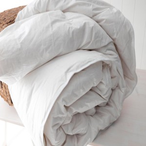 img-SIBERIAN ΠΑΠΛΩΜΑ ΠΟΥΠΟΥΛΟ 170Χ240